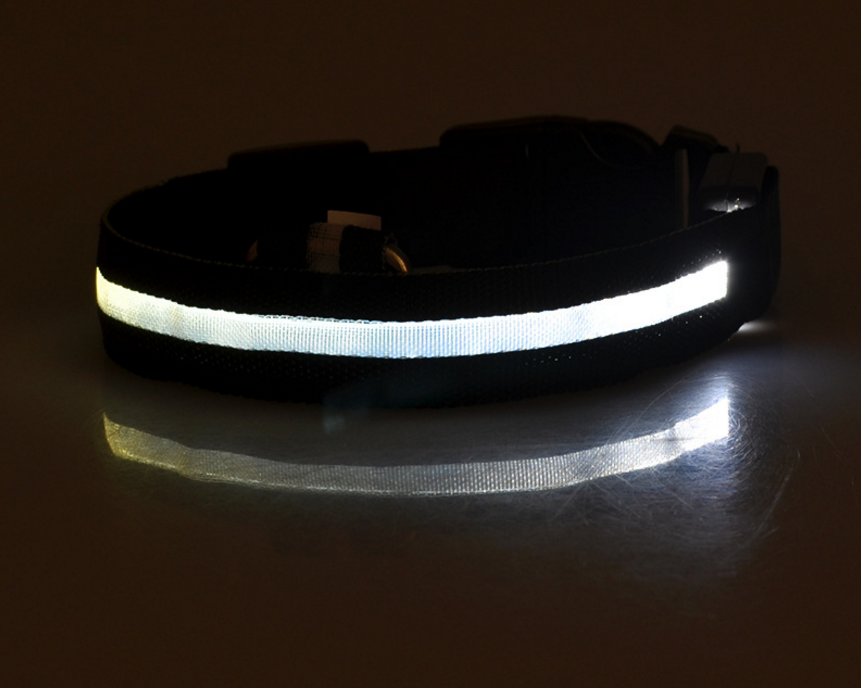 Glow In Dark Pet Collar