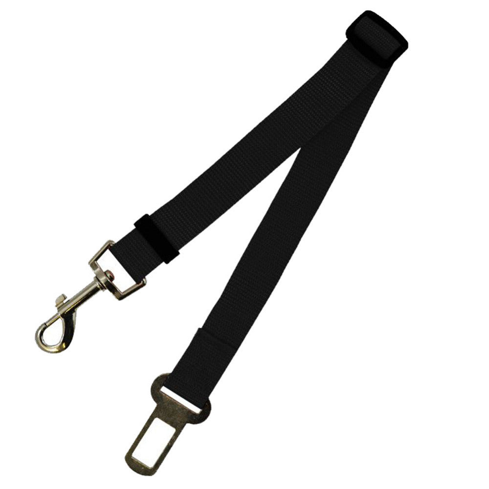 Durable Polyester Dog Walking Leash