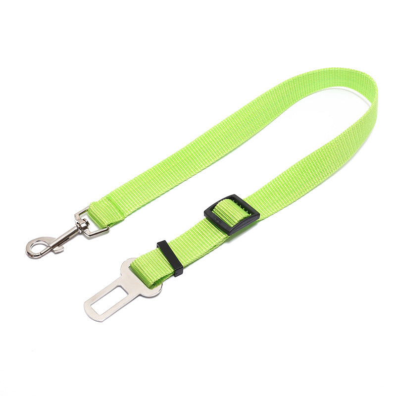 Durable Polyester Dog Walking Leash