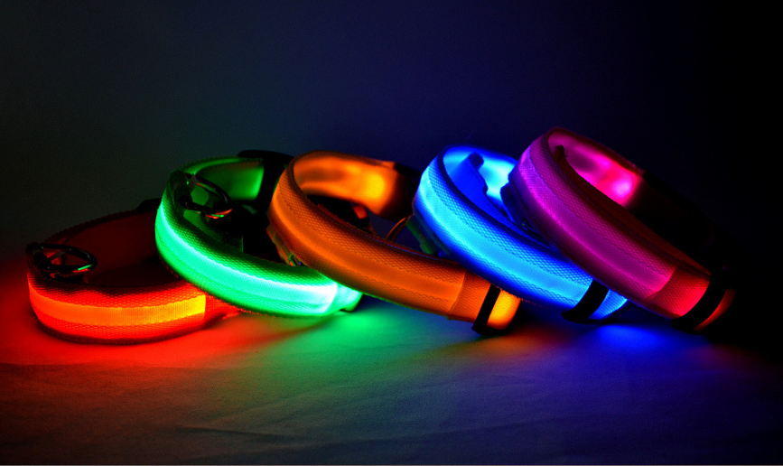 Glow In Dark Pet Collar