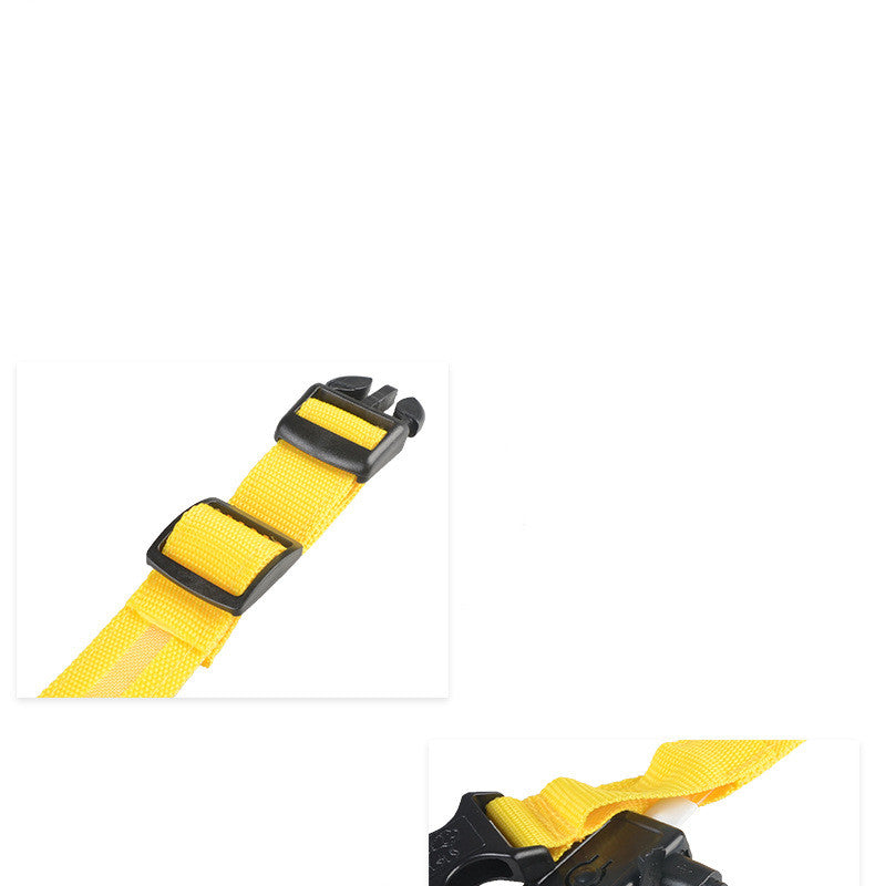 Glow In Dark Pet Collar