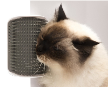 Pet Wall Mounted Grooming Brush