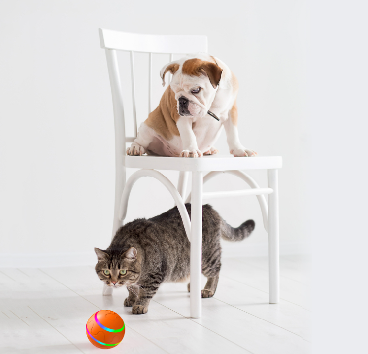 Intelligent Automatic Pet Rolling Ball