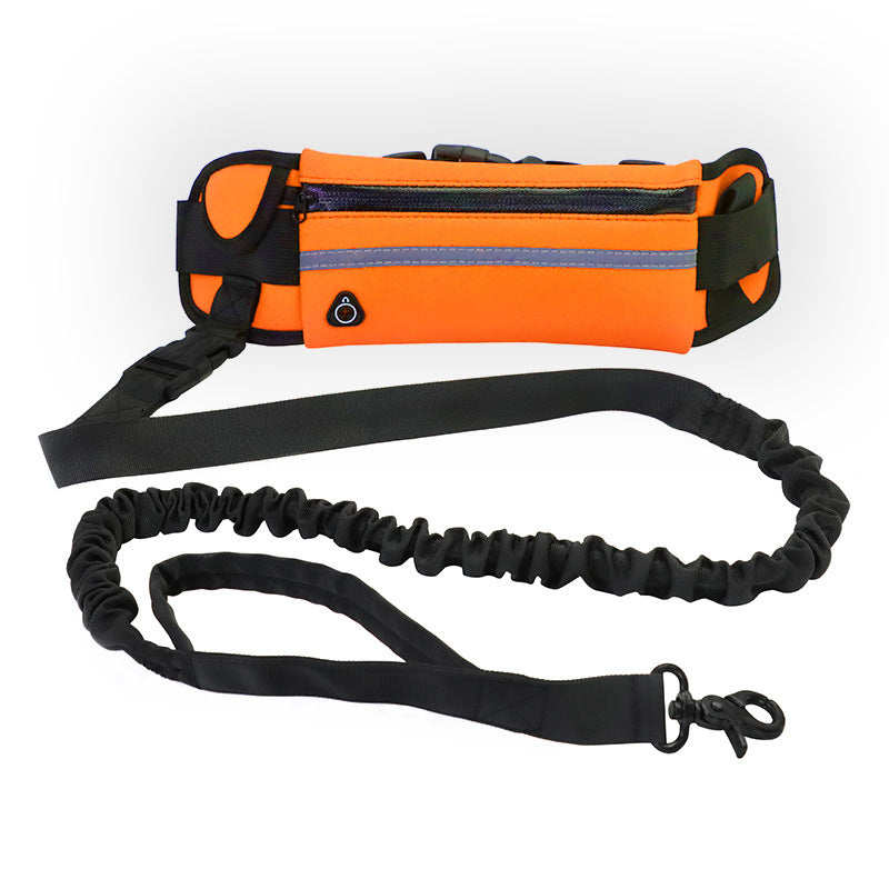 Shock Absorbing Hands Free Leash