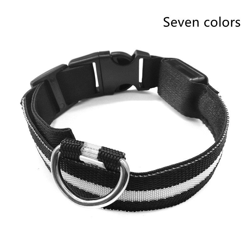 Glow In Dark Pet Collar