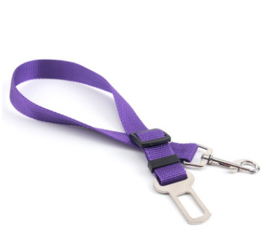 Durable Polyester Dog Walking Leash
