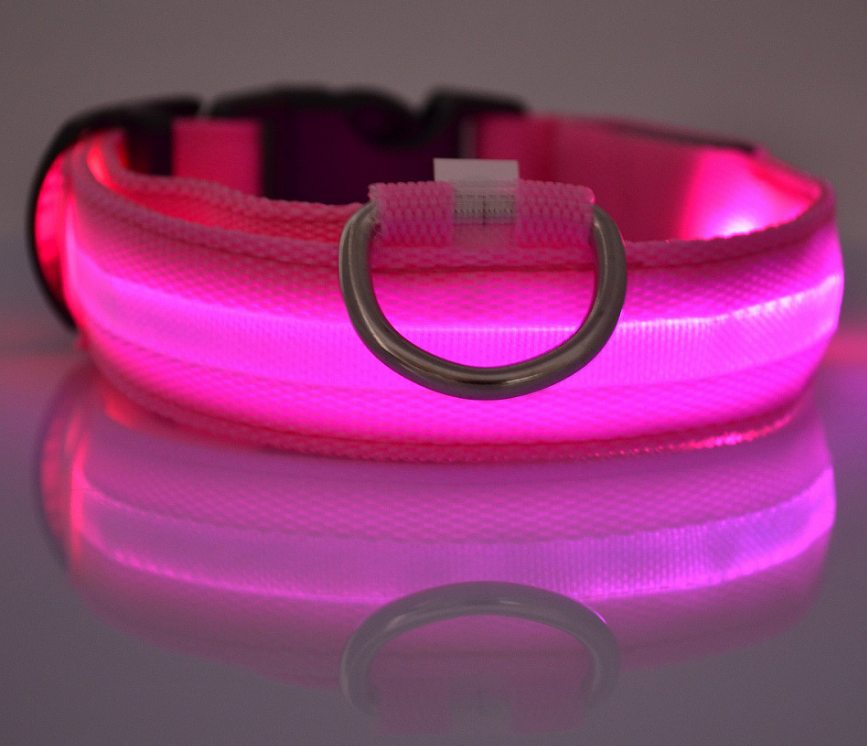 Glow In Dark Pet Collar