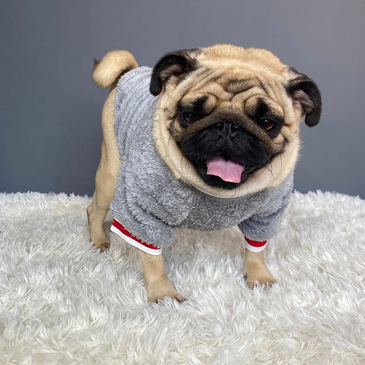 Winter Pet Sweater For Dogs
