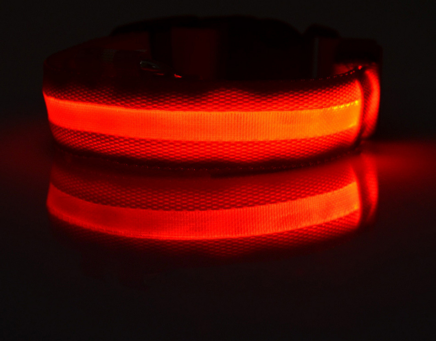 Glow In Dark Pet Collar