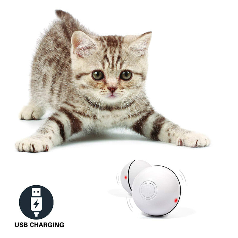 Electronic Rolling Laser Cat Ball