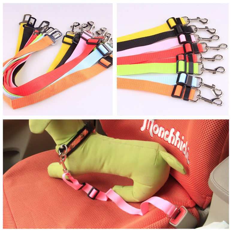 Durable Polyester Dog Walking Leash
