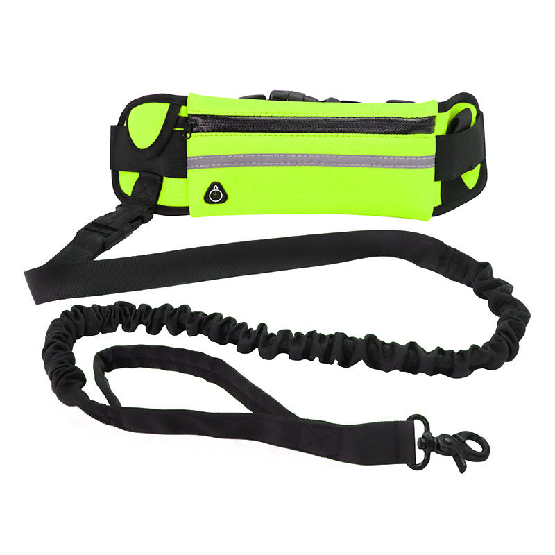 Shock Absorbing Hands Free Leash