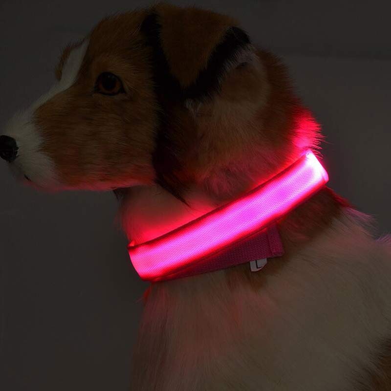 Glow In Dark Pet Collar