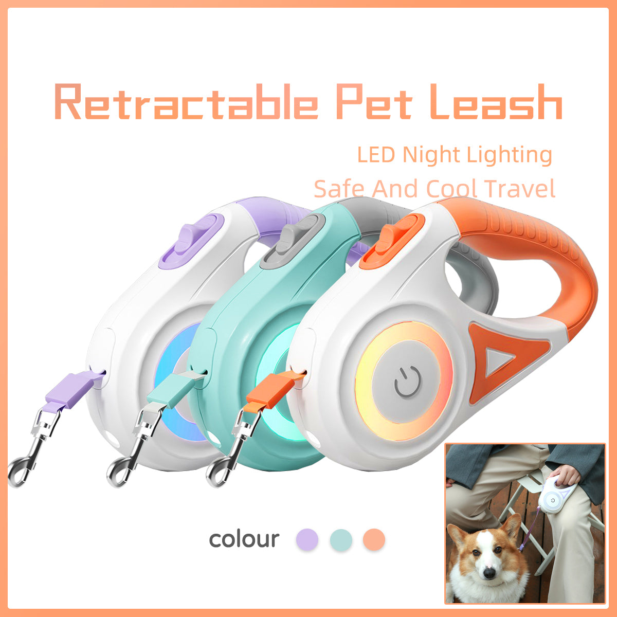 Retractable Dog Leash Spotlight Collar
