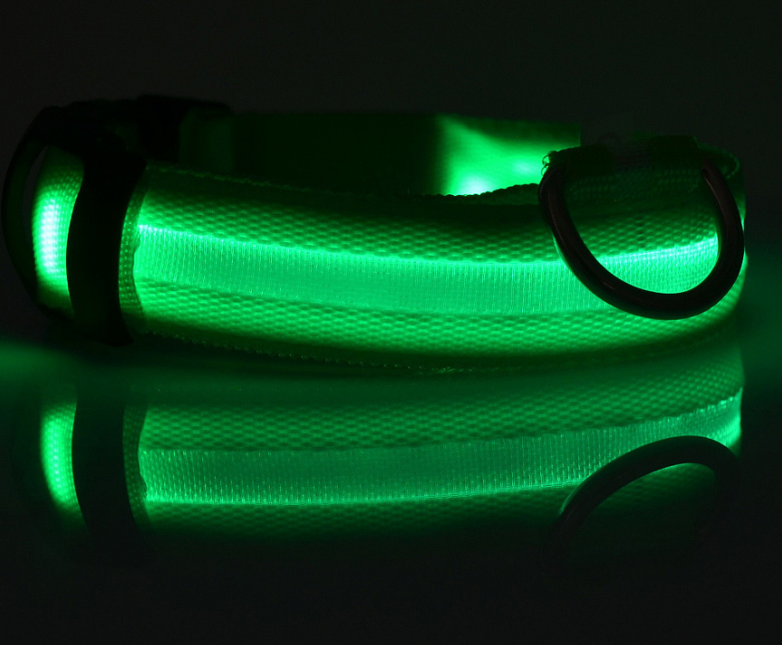 Glow In Dark Pet Collar