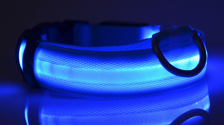Glow In Dark Pet Collar