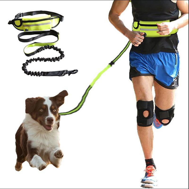 Shock Absorbing Hands Free Leash