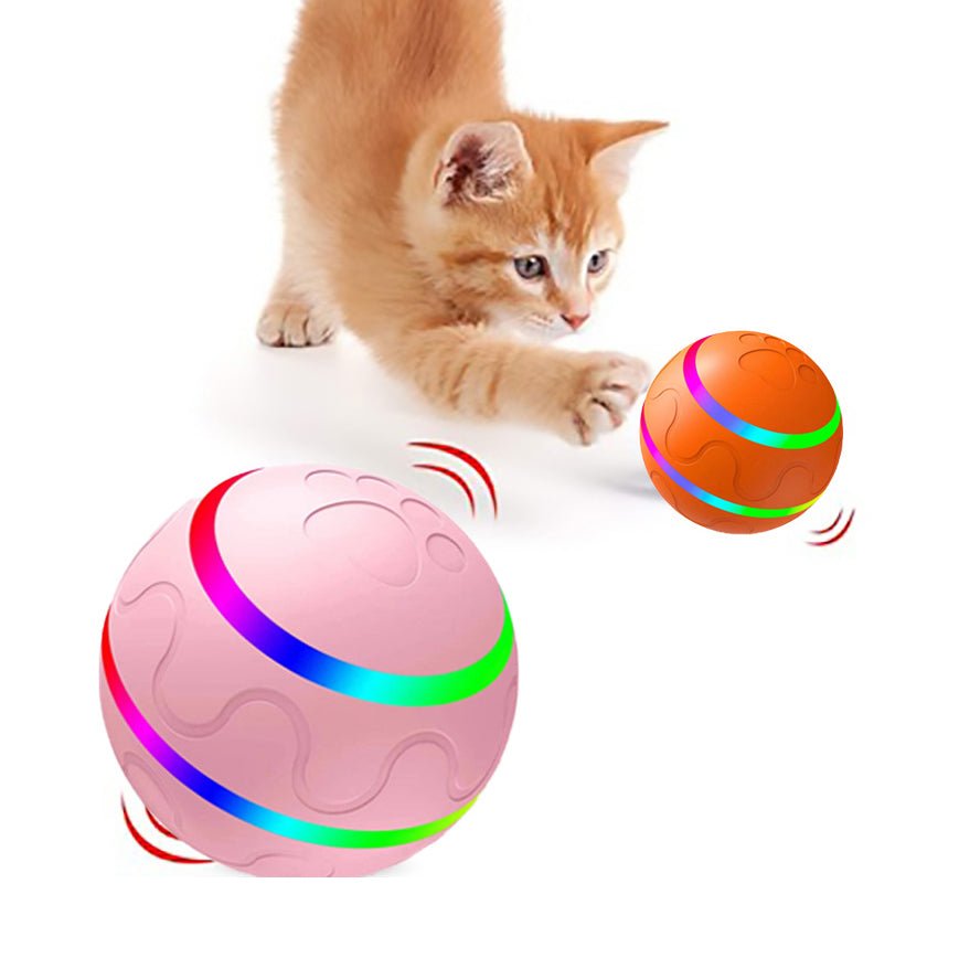 Intelligent Automatic Pet Rolling Ball