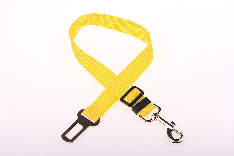Durable Polyester Dog Walking Leash