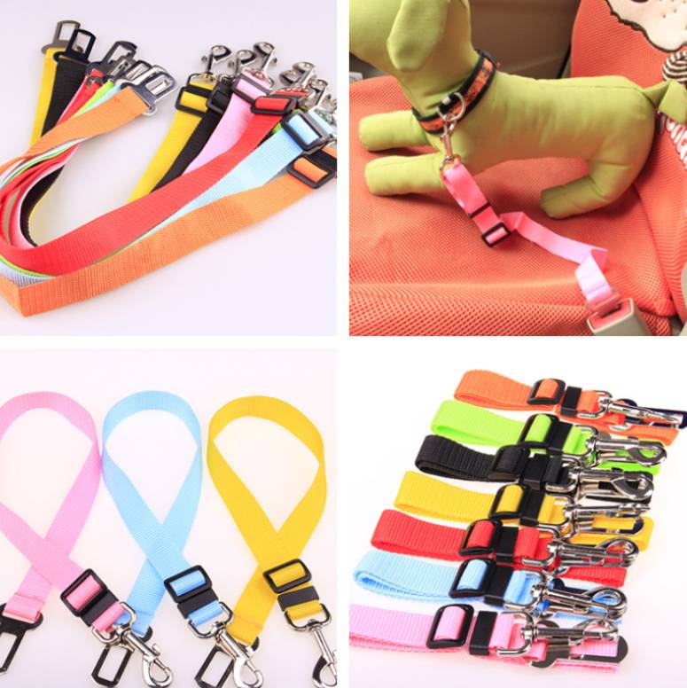 Durable Polyester Dog Walking Leash