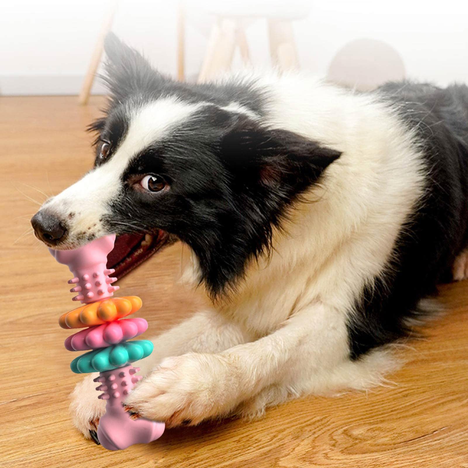 Dog Teeth Cleaning Bone Toy